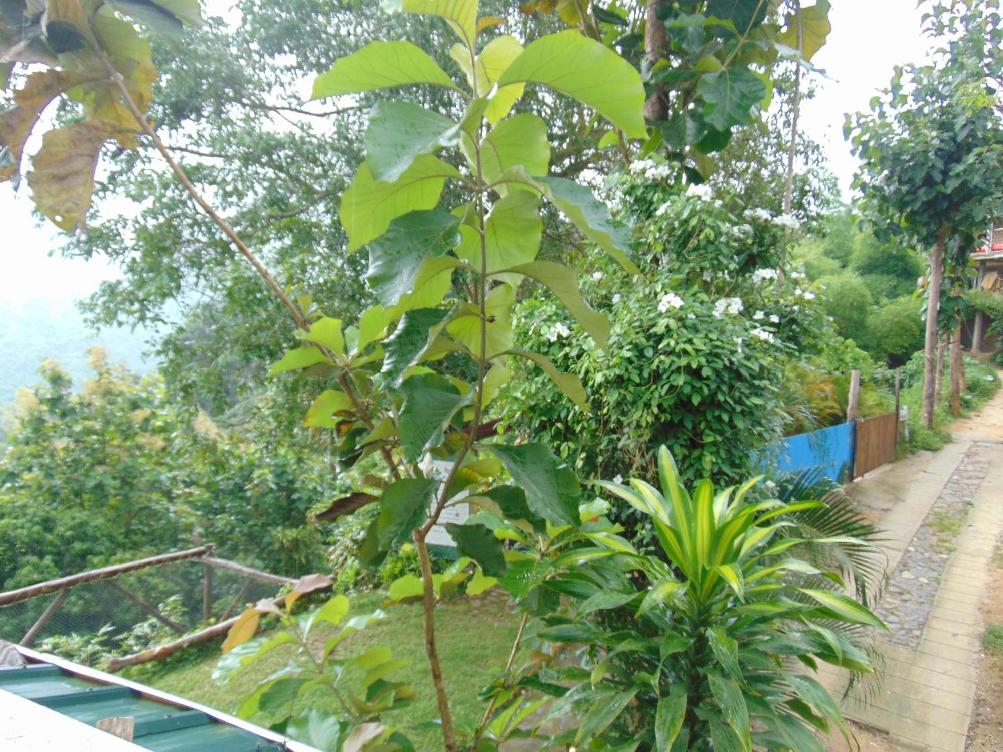 Dunarinka มินกา ภายนอก รูปภาพ